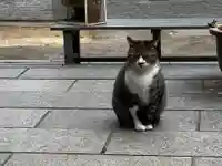 王子神社(徳島県)