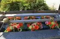 豊景神社の手水舎