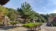 京都乃木神社の景色