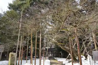 伊佐須美神社(福島県)