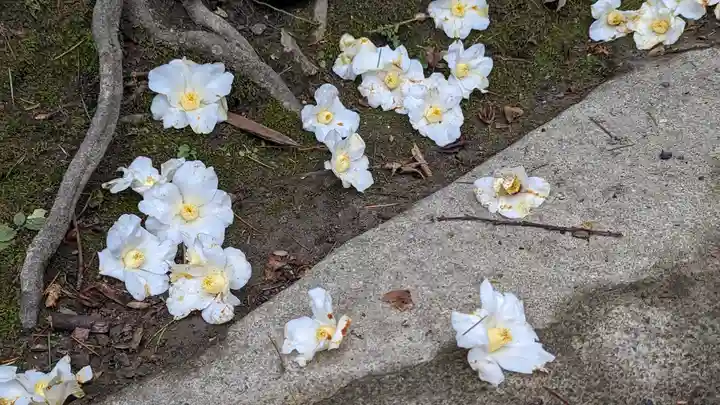 大豊神社(京都府)