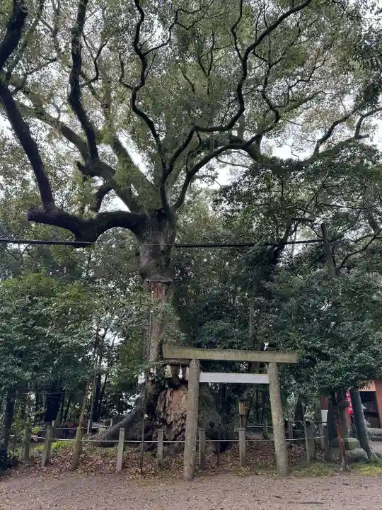 松阪神社の自然