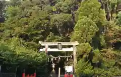 水度神社の鳥居