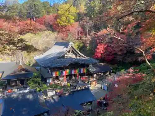 岡寺（龍蓋寺）(奈良県)