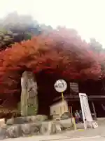 千如寺大悲王院の自然