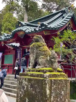 箱根神社の狛犬