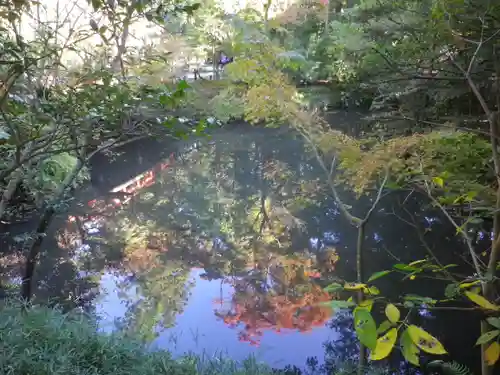 鶴岡八幡宮の庭園