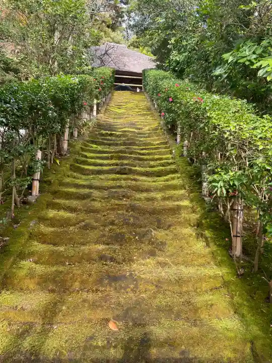 杉本寺(神奈川県)