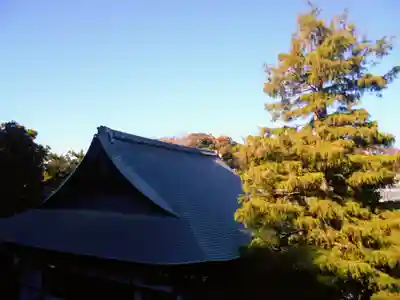 天嶽院のその他建物