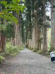 戸隠神社奥社(長野県)