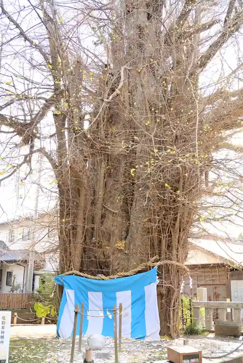 鶴嶺八幡宮(神奈川県)