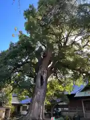 大福寺(神奈川県)