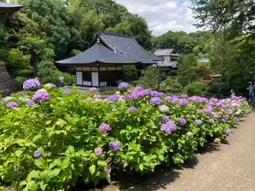 天台宗　長窪山　正覚寺の庭園