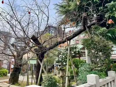 湯島御霊社(東京都)