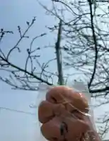 大田神社の{uncategorized: "未分類", other: "その他", undefined: "問題あり", building: "その他建物", grave: "お墓", sacred_gate: "鳥居", guardian: "狛犬", statue: "像", buddha: "仏像", history: "歴史", nature: "自然", garden: "庭園", animal: "動物", pagoda: "塔", temizu: "手水舎", mountain_gate: "山門・神門", sanctuary: "本殿・本堂", subordinate: "末社・摂社", art: "芸術", scenery: "景色", jizo: "地蔵", ema: "絵馬", goshuin: "御朱印", omikuji: "おみくじ", items: "授与品その他", amulet: "お守り", goshuincho: "御朱印帳", eats: "食事", festival: "お祭り", votive_dance: "神楽", shichigosan: "七五三参", wedding: "結婚式", experience: "体験その他", initially: "初詣", around: "周辺", anti_infection: "感染症対策"}