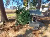 飯有神社(栃木県)