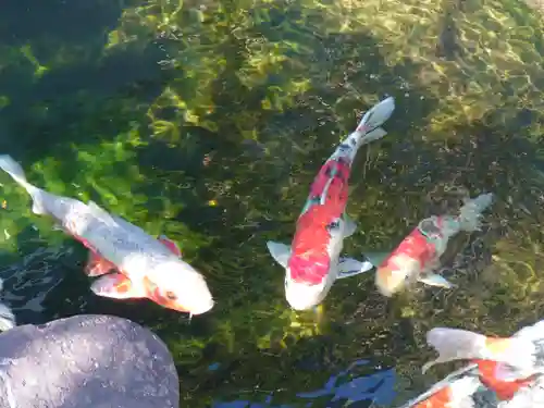甚行寺(神奈川県)