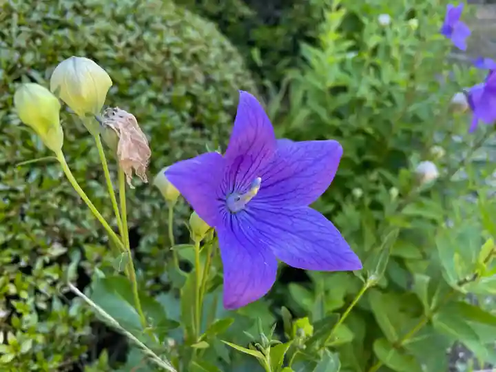 牛伏寺(長野県)