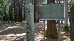 高虫氷川神社(埼玉県)