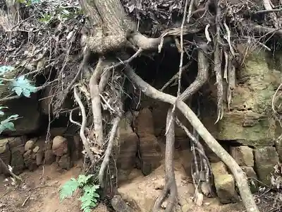 稲荷神社の自然