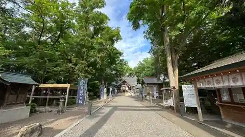 旭川神社の景色