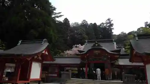 霧島神宮の本殿