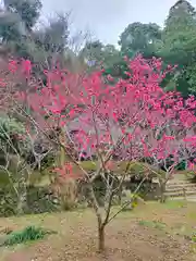 観心寺(大阪府)