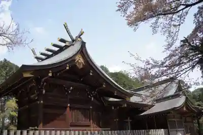 東村山八坂神社(東京都)