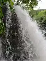 白山神社の自然