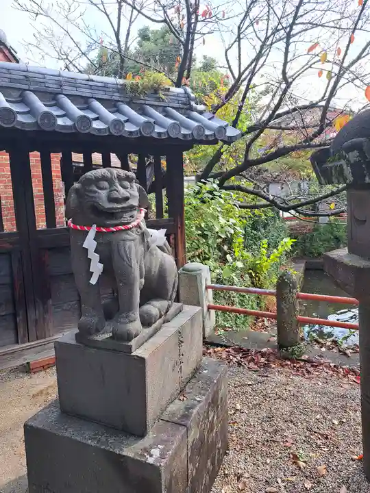 牛嶋天満宮の狛犬