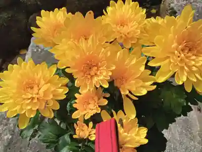 長谷寺(奈良県)