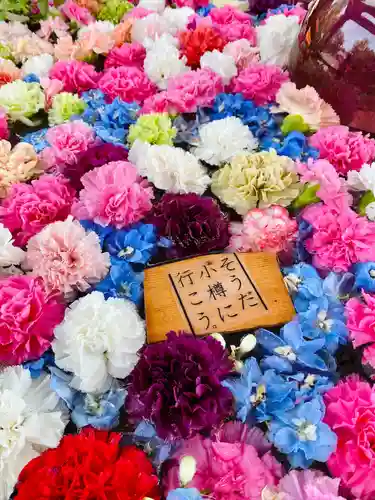 住吉神社の手水舎