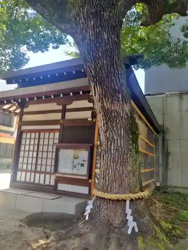 堀川戎神社(大阪府)