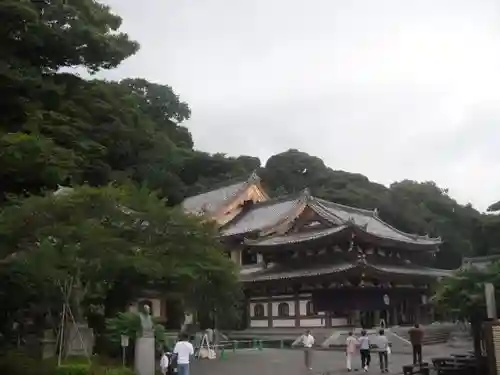 長谷寺の本殿・本堂