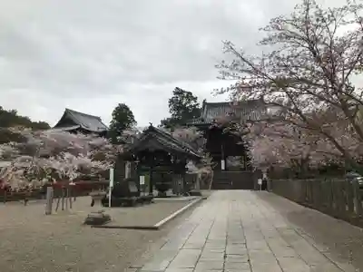 粉河寺(和歌山県)