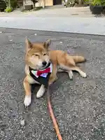 感通寺(東京都)