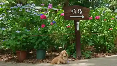 筥崎宮(福岡県)