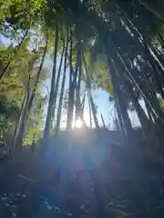 神龍八大龍王神社(熊本県)