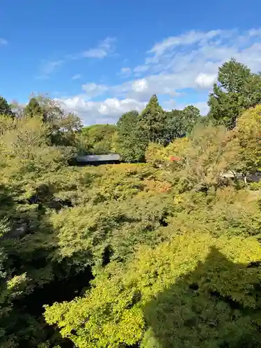 東福禅寺（東福寺）(京都府)