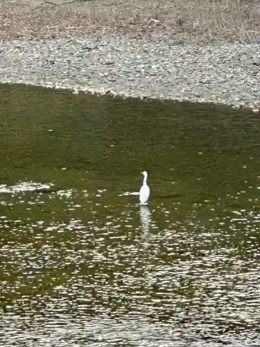 伊勢神宮内宮（皇大神宮）(三重県)