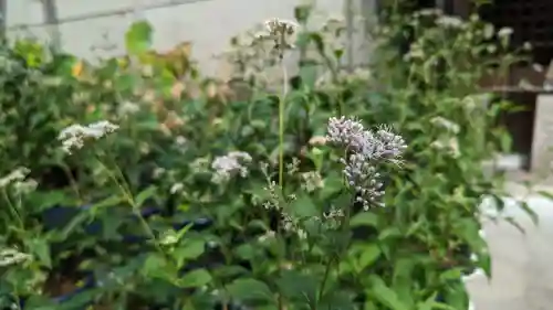 行願寺（革堂）(京都府)