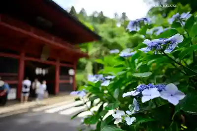 太平山神社(栃木県)