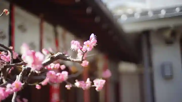 市比賣神社(京都府)