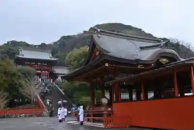 鶴岡八幡宮(神奈川県)