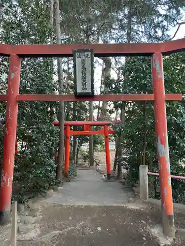 開運招福 飯玉神社(群馬県)