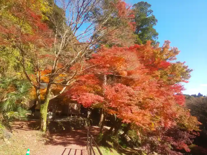八女津媛神社の自然