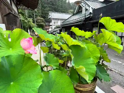 持寳院(多氣山不動尊)(栃木県)