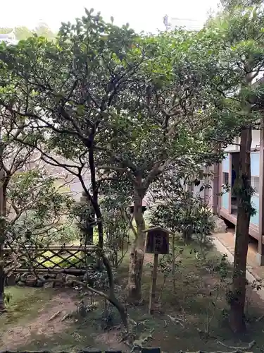 龍安寺(京都府)