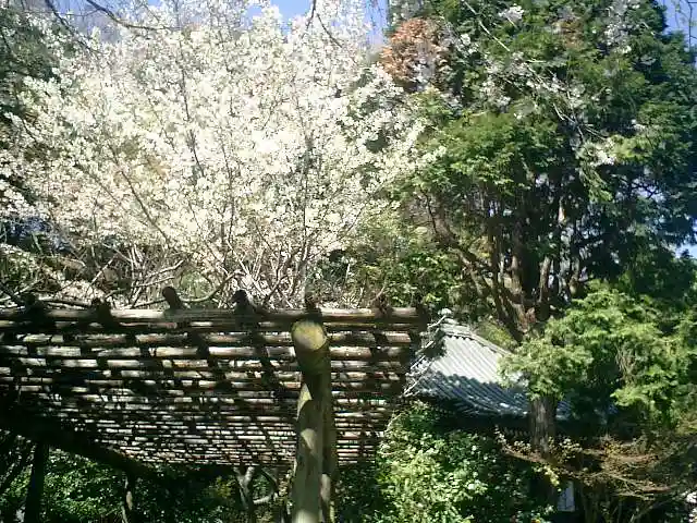 安國論寺(安国論寺)の自然