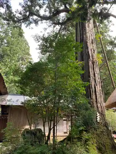 元伊勢内宮 皇大神社(京都府)
